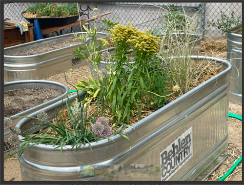 Garden Club 